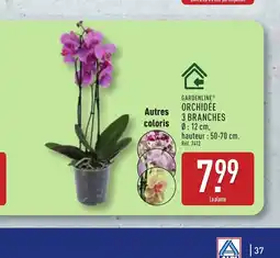 ALDI GARDENLINE 3 branches offre