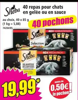 Norma Sheba 40 repas pour chats en gelée ou en sauce offre