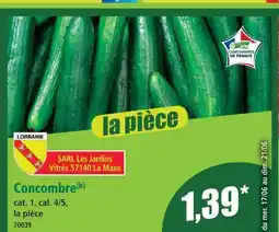 Norma Concombre offre