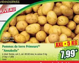 Norma Pommes de terre primeurs annabelle offre