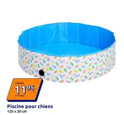 Action Piscine pour chiens offre