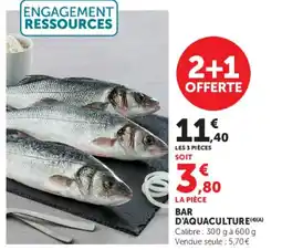 Super U BAR D'AQUACULTURE offre