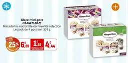 Coccimarket Glace mini-pots häagen-dazs offre