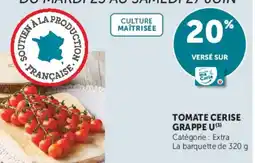 Hyper U TOMATE CERISE GRAPPE U offre