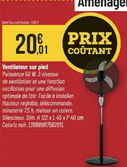 Bricorama Ventilateur sur pied offre