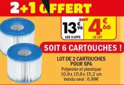La Foir'Fouille Lot de 2 cartouches pour spa offre