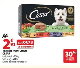 Auchan CESAR Terrine pour chien offre