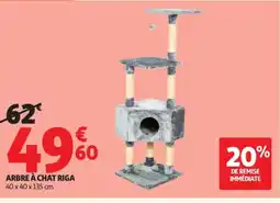 Auchan RIGA Arbre à chat offre