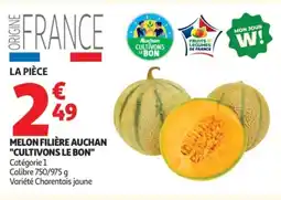 Auchan Melon filière auchan cultivons le bon offre