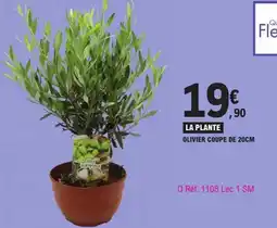 E.Leclerc Olivier coupe offre