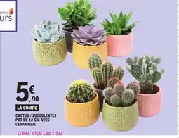 E.Leclerc La cactus/succulentes pot de avec ceramique offre