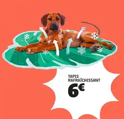 GiFi Tapis rafraîchissant offre
