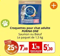 Coccinelle Express Croquettes pour chat adulte purina one offre