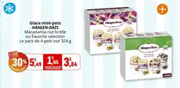 Coccinelle Express Glace mini-pots häagen-dazs offre