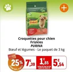 Coccinelle Express Croquettes pour chien friskies purina offre