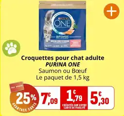 Coccinelle Supermarché Croquettes pour chat adulte purina one offre