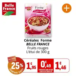 Coccinelle Supermarché Céréales forme belle france offre