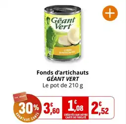 Coccinelle Supermarché Fonds d'artichauts géant vert offre