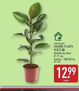 ALDI GARDENLINE Grande plante verte offre