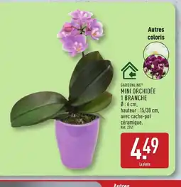 ALDI GARDENLINE Mini orchidée 1 branche offre