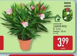 ALDI GARDENLINE Laurier rose offre