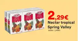 Hmarket SPRING VALLERY Nectar tropical offre