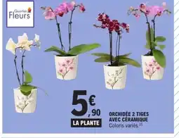 E.Leclerc Orchidee 2 tiges avec céramique offre