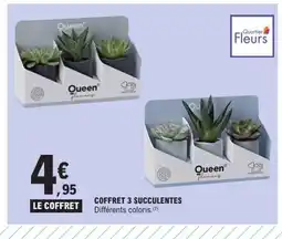 E.Leclerc Coffret 3 succulentes offre