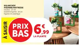 Hyper U KALANCHOE FIGURINE MAITRESSE offre