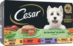 Auchan Cesar terrine pour chien cesar offre