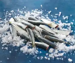 Auchan Supermarché Sardine entière étêtée vidée offre