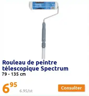 Action Rouleau de peinture télescopique spectrum offre