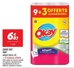 Netto Okay Essuie tout offre