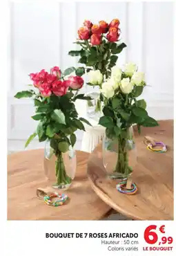Bi1 Bouquet de 7 roses africado offre
