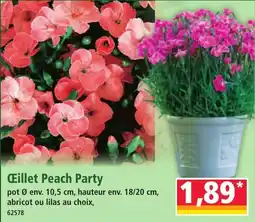 Norma Œillet peach party offre