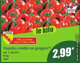 Norma Tomates rondes en grappes offre