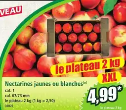 Norma Nectarines jaunes ou blanches offre