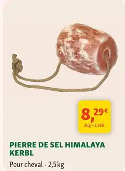 Maxi Zoo Kerbl pierre de sel himalaya offre