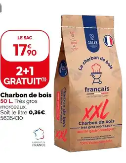 Weldom Charbon de bois xxl offre