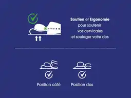 Auchan Le laboratoire du sommeil oreiller ergonomique laboratoire du sommeil offre