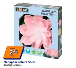 Action SOLAR Nénuphar solaire offre