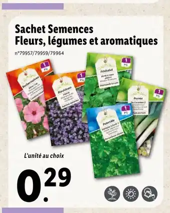 Lidl Sachet Semences offre