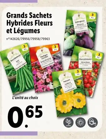 Lidl Grands Sachets offre