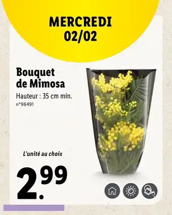 Lidl Bouquet de Mimosa offre