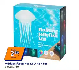 Action Méduse flottante LED Nor-Tec offre