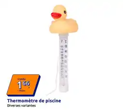 Action Thermomètre de piscine offre