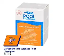 Action Cartouches floculantes Pool Champion offre