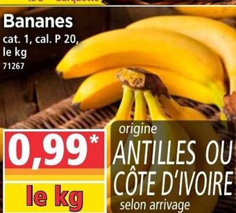 Norma Bananes offre