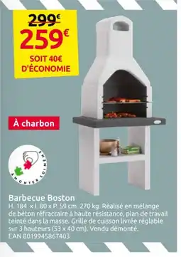 Mr Bricolage Barbecue Boston offre