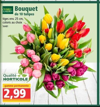 Norma Bouquet offre